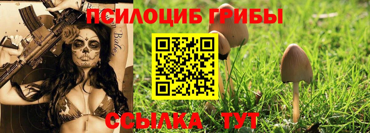 Улан-Удэ  Галлюциногенные грибы MAGIC MUSHROOMS  Вход с VPN  Галлюциногенные грибы мицелий 