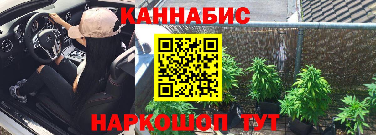 МАРИХУАНА сатива Улан-Удэ